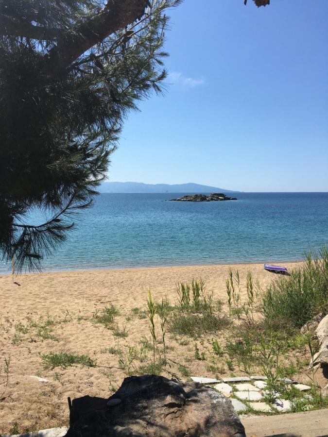 Secret Bay Διαμέρισμα PalaiónTsiflíkion Εξωτερικό φωτογραφία
