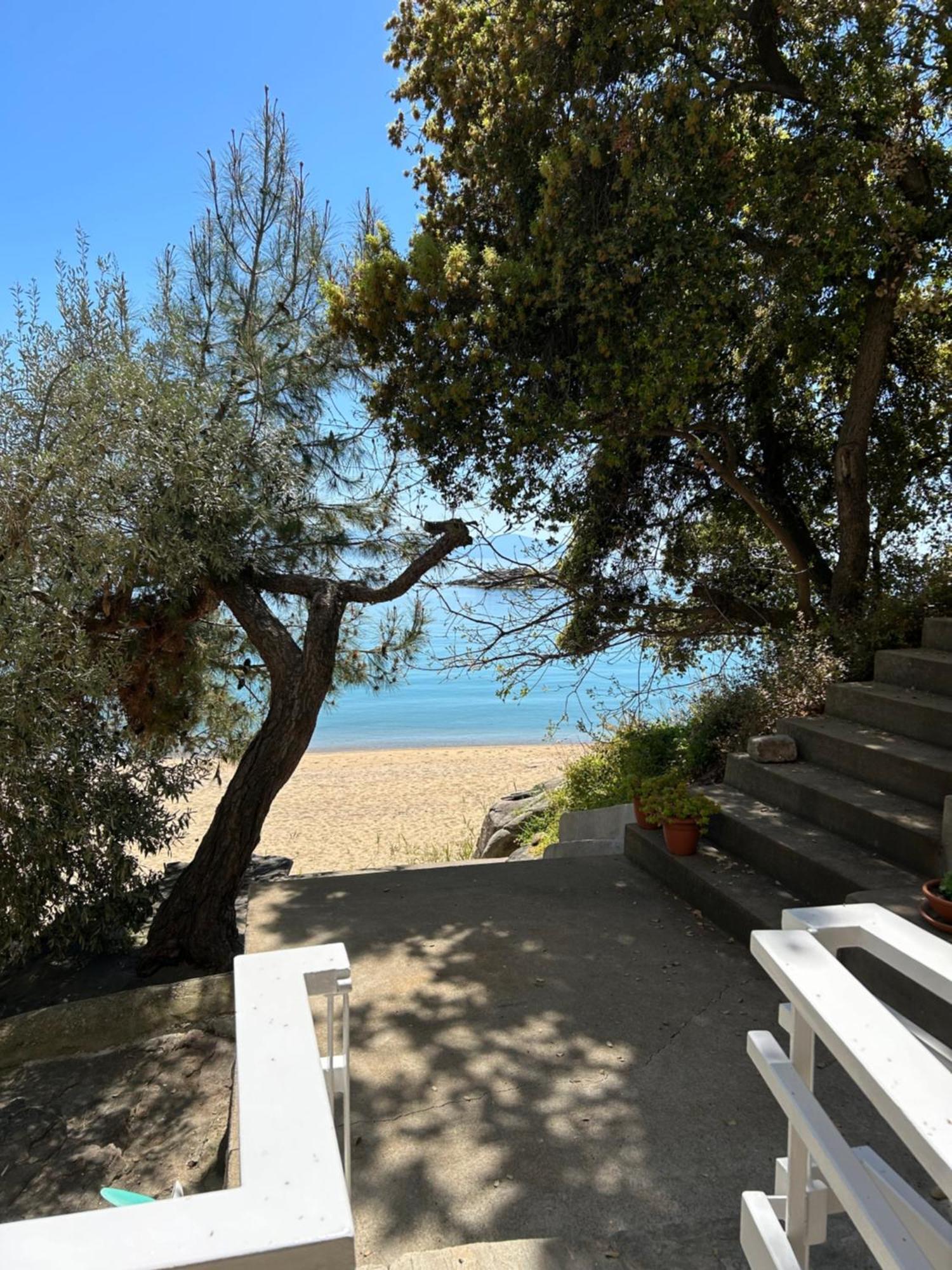 Secret Bay Διαμέρισμα PalaiónTsiflíkion Εξωτερικό φωτογραφία